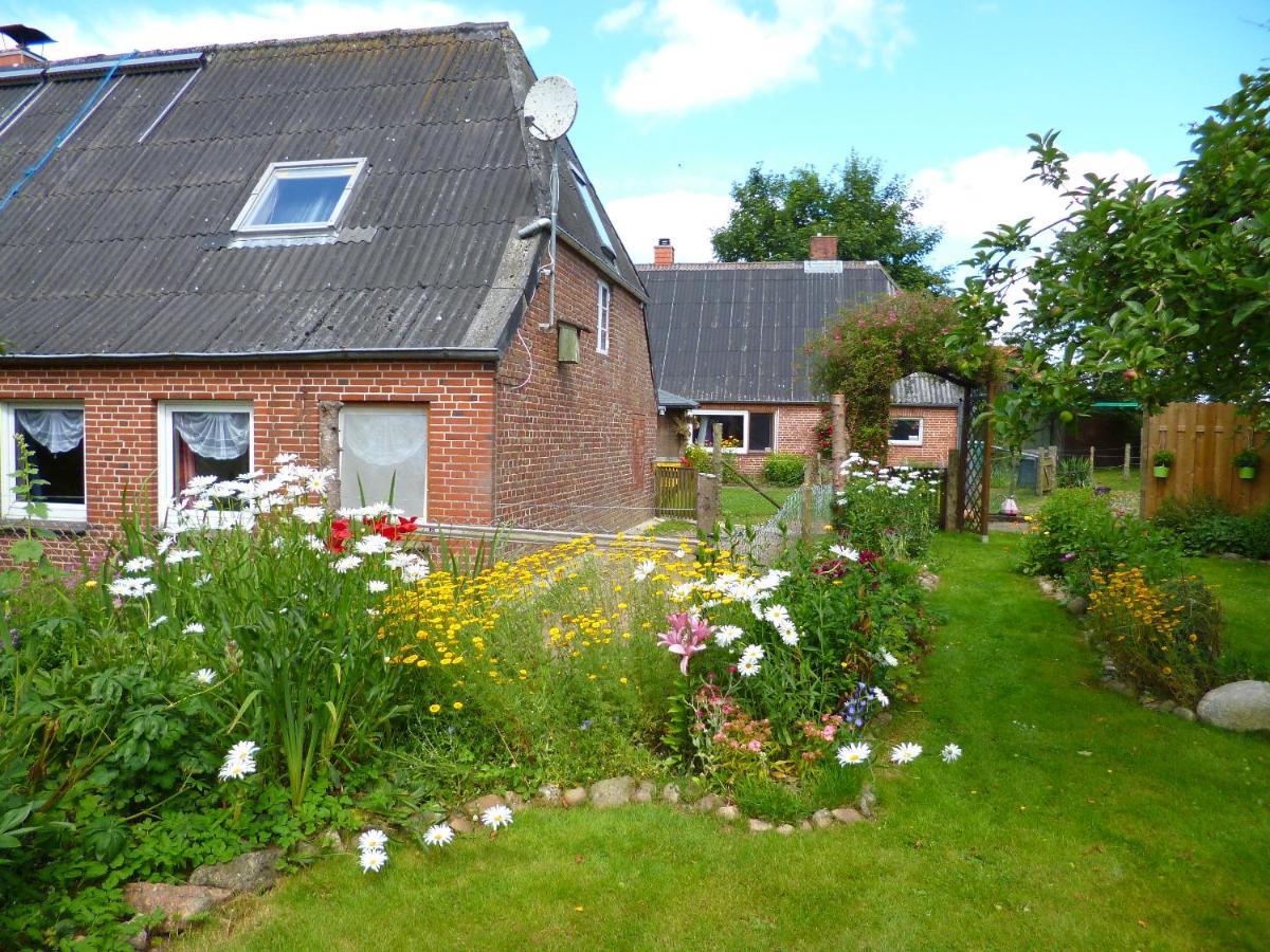 Nordseerex Ahrenshoft Exterior foto